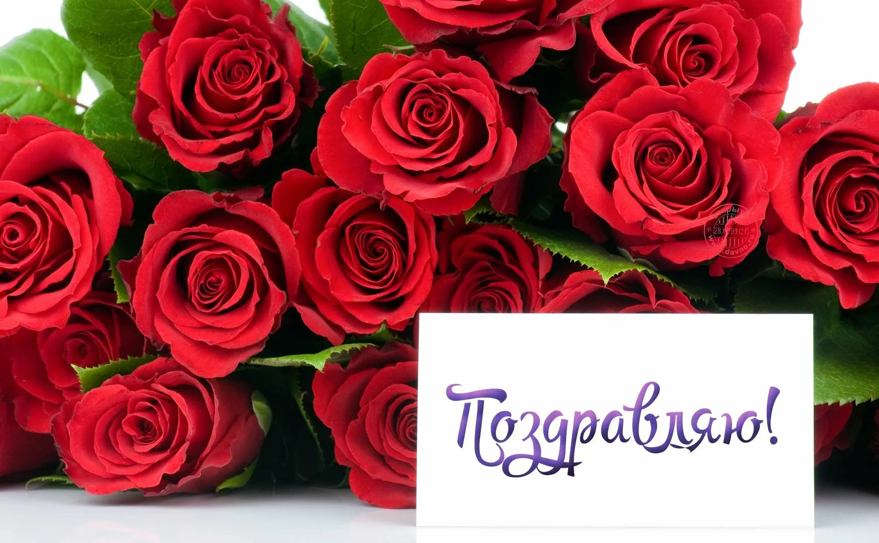 Поздравительная открытка розы