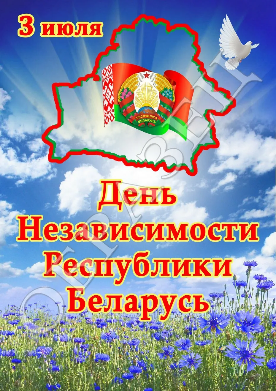 Фото День Независимости Республики Беларусь 2024 #70
