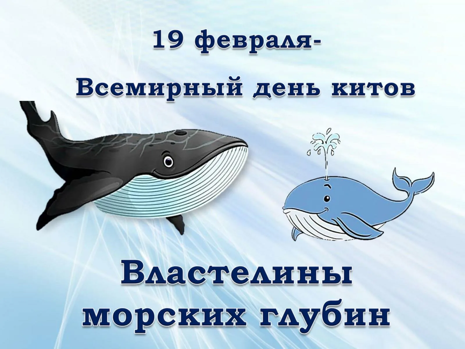 Фото Всемирный день китов и дельфинов 2024 #29