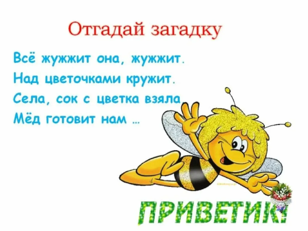 Поздравок загадки. Загадка про пчелу. Загадка про пчелу для детей. Стих про пчелу. Детские загадки про пчел.