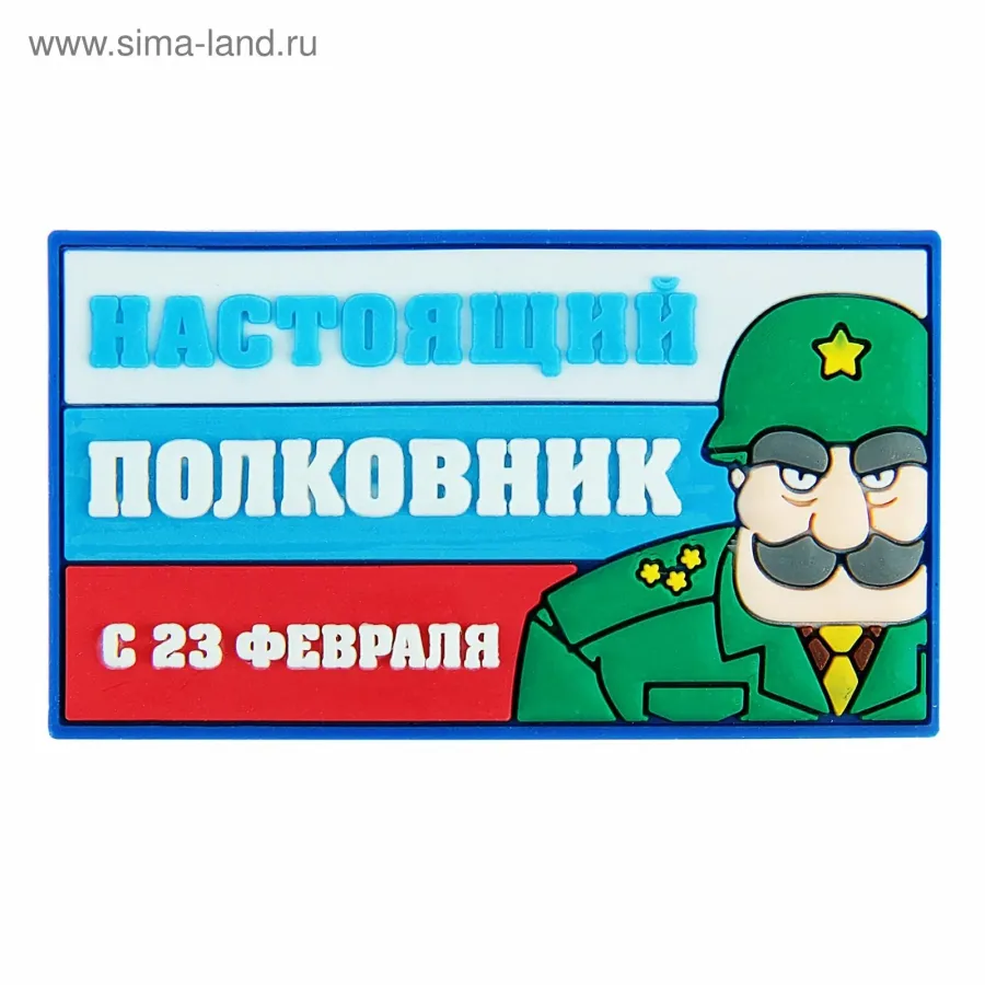 Поздравление полковника с днем рождения. С 23 февраля настоящий полковник. Открытка настоящий полковник. Настоящему полковнику с 23 февраля. Поздравление с 23 февраля настоящего полковника.