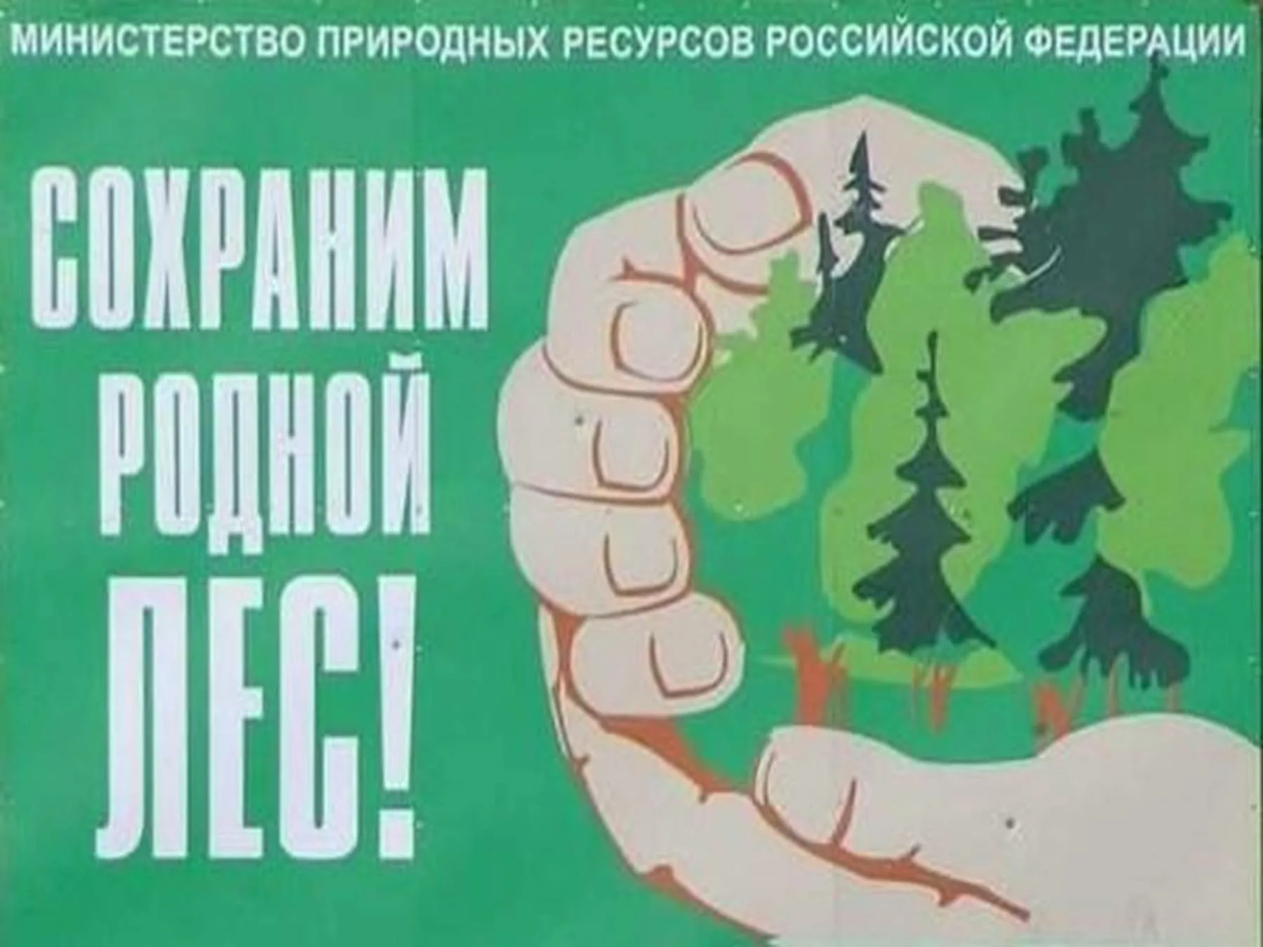 День леса плакат