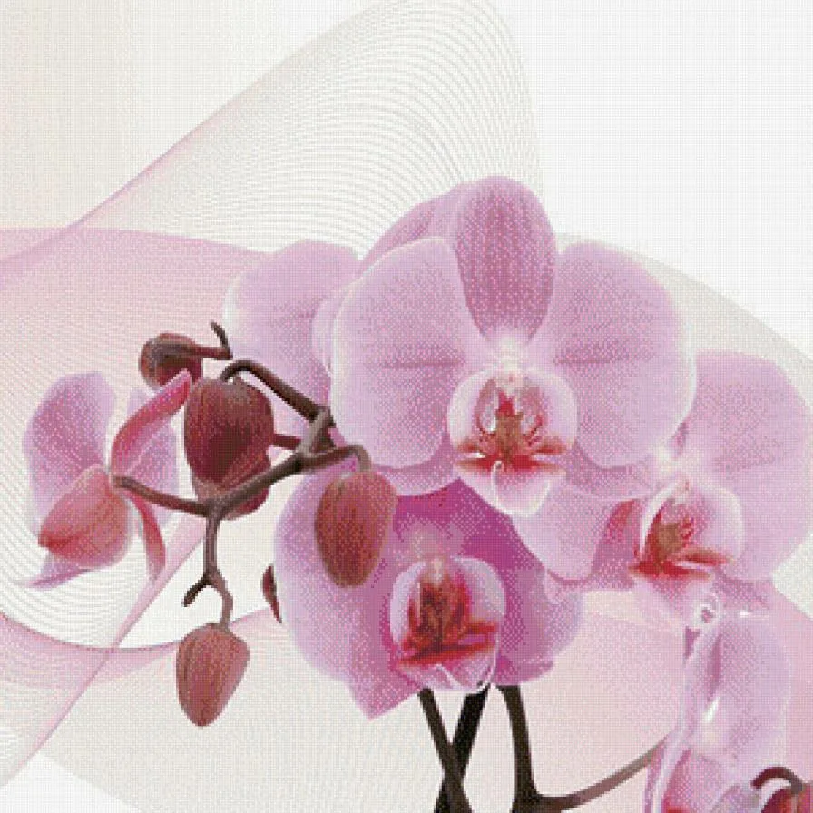 Фото Стихи к подарку орхидея #20