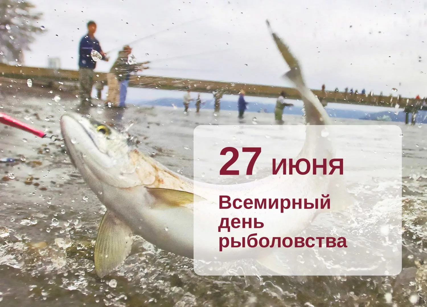 Фото Поздравления рыбаку в праздник «Всемирный день рыболовства» #26