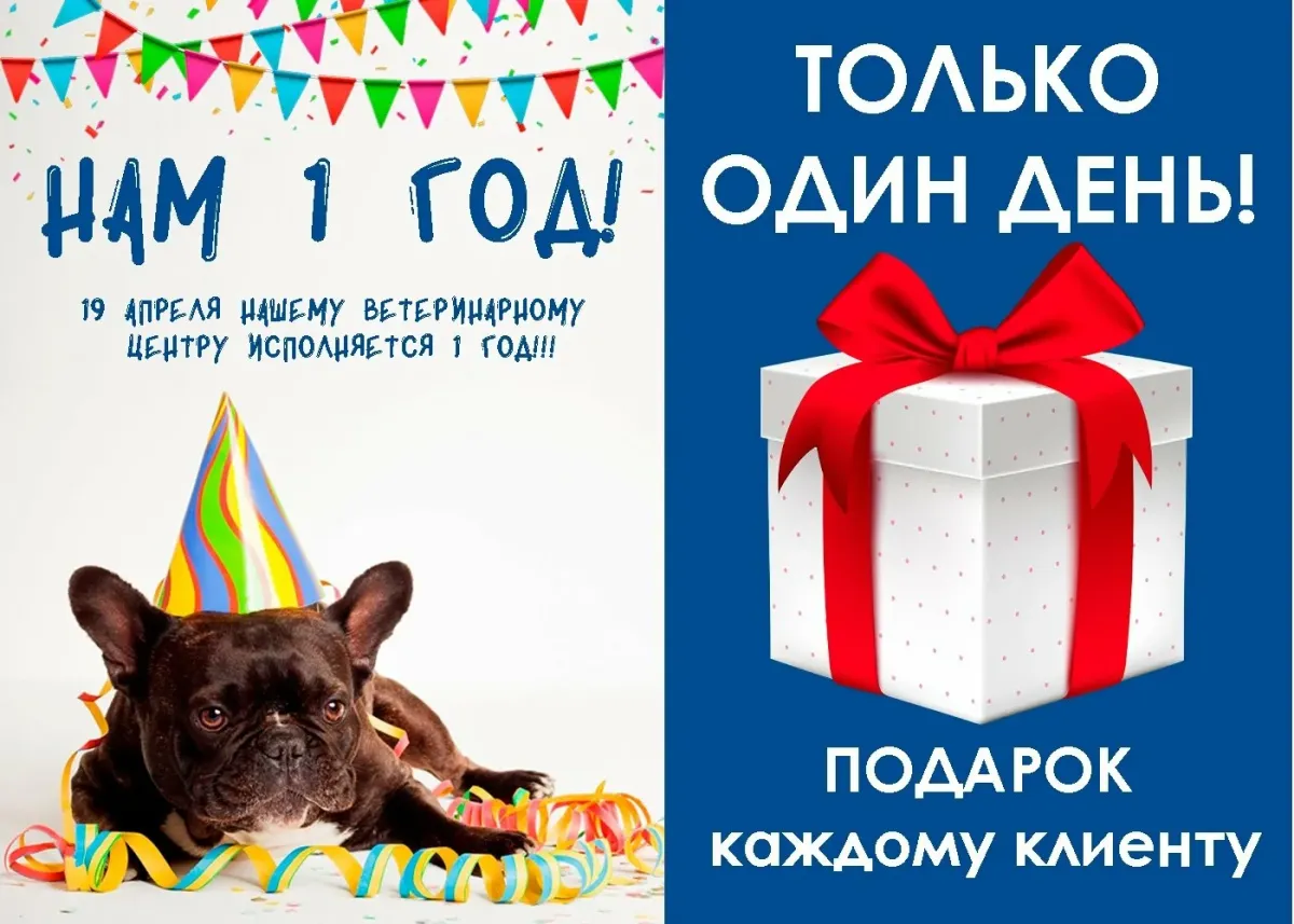 1 год открытия магазина. 1 год открытия магазина. 1 год открытия магазина. один год магазину. открытка с открытием магазина.