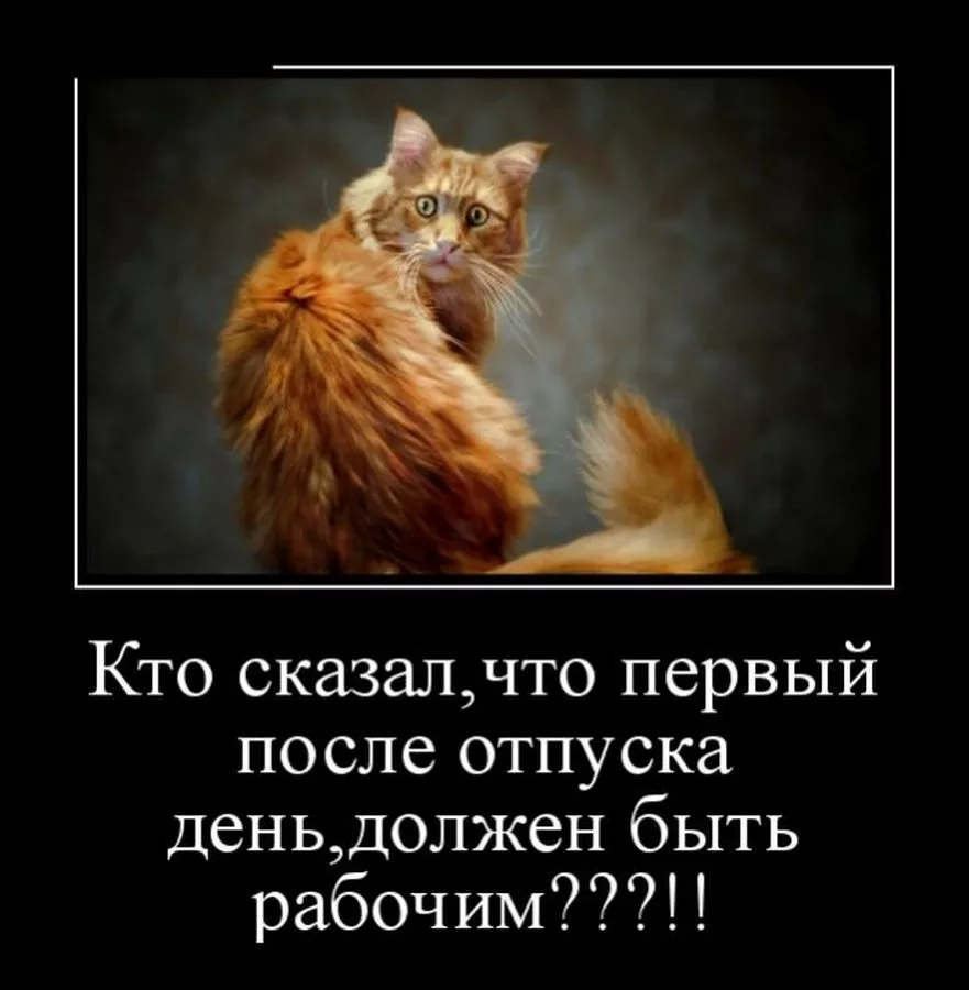 Первый отпуск должен быть. Первый день после отпуска. На работу после отпуска. Первый день послеотпускп. Первый день на работе после отпуска.