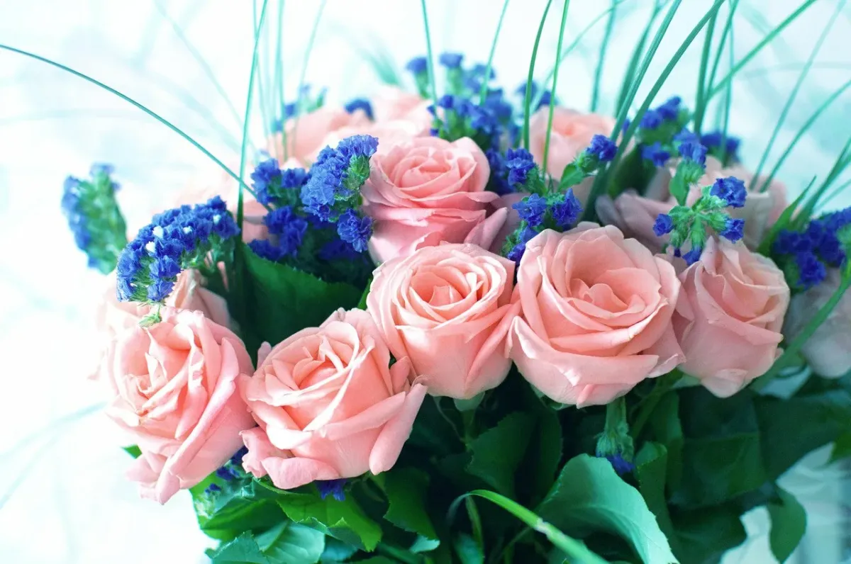 Хорошего дня и счастья картинки. Красивый букет цветов. С днем рождения цветы. Букет "женщине". Поздравляю! (Цветок).