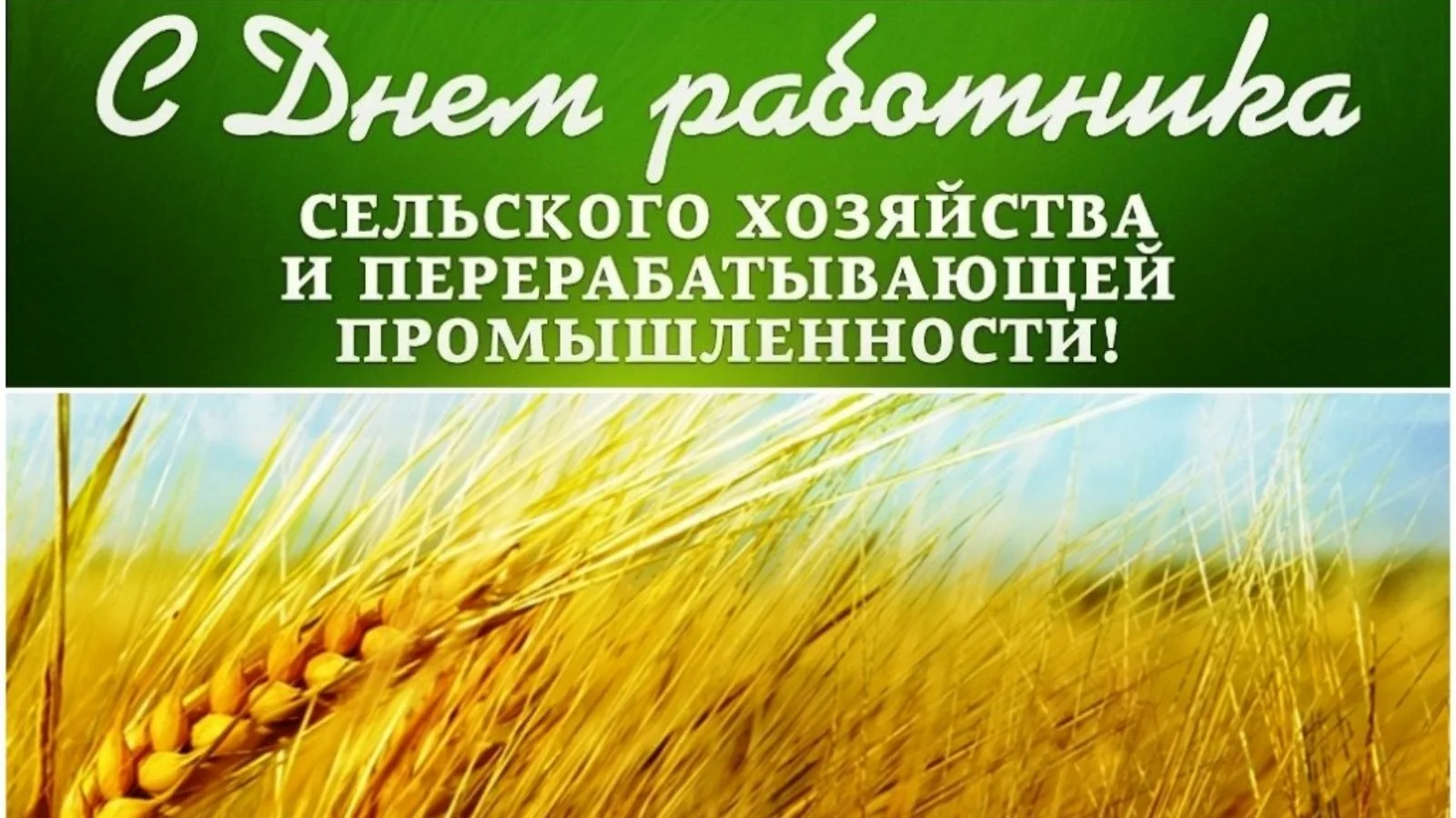 Фото Поздравления с днем работников сельского хозяйства Украины #29