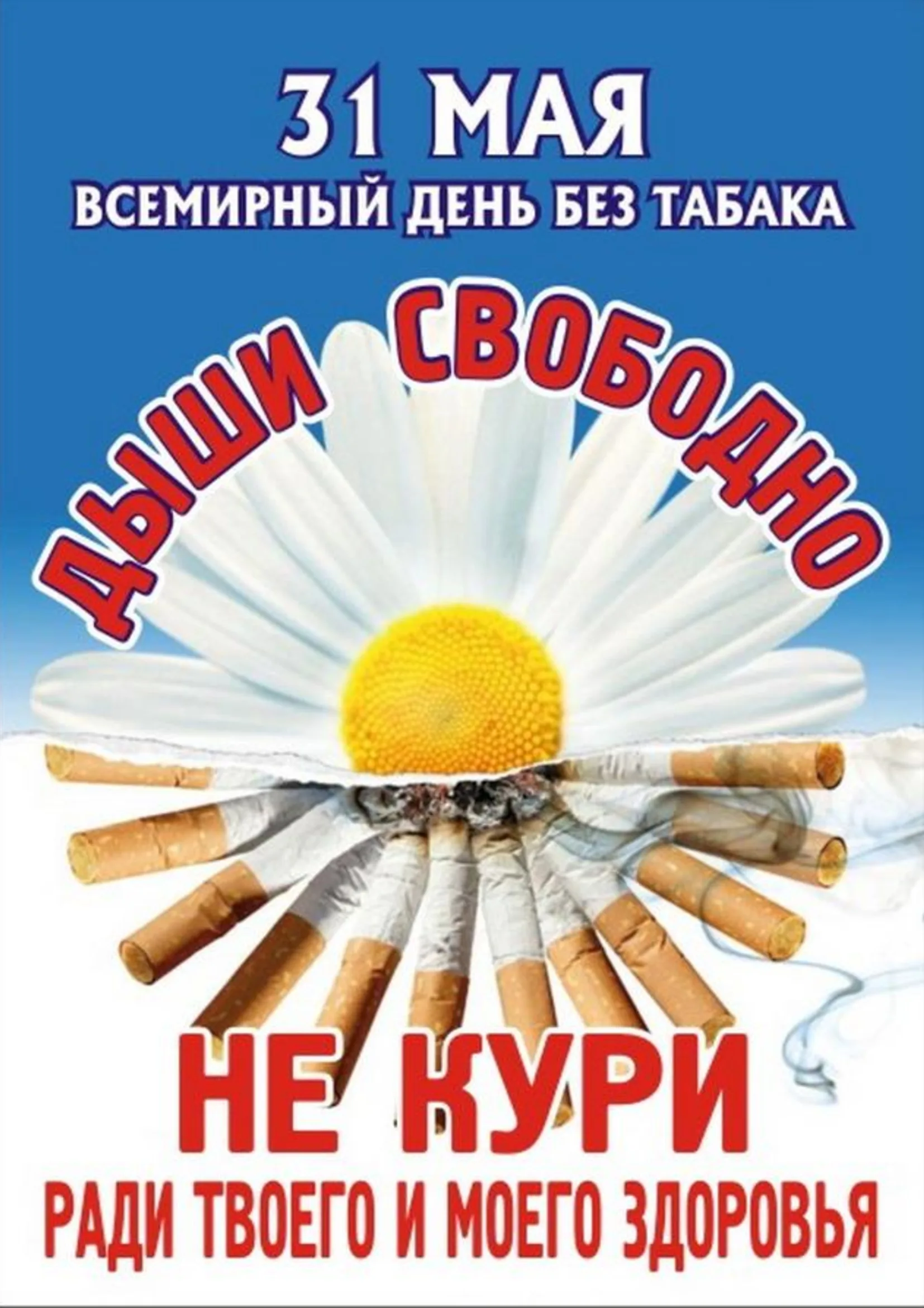 Фото World No Tobacco Day 2024 #5