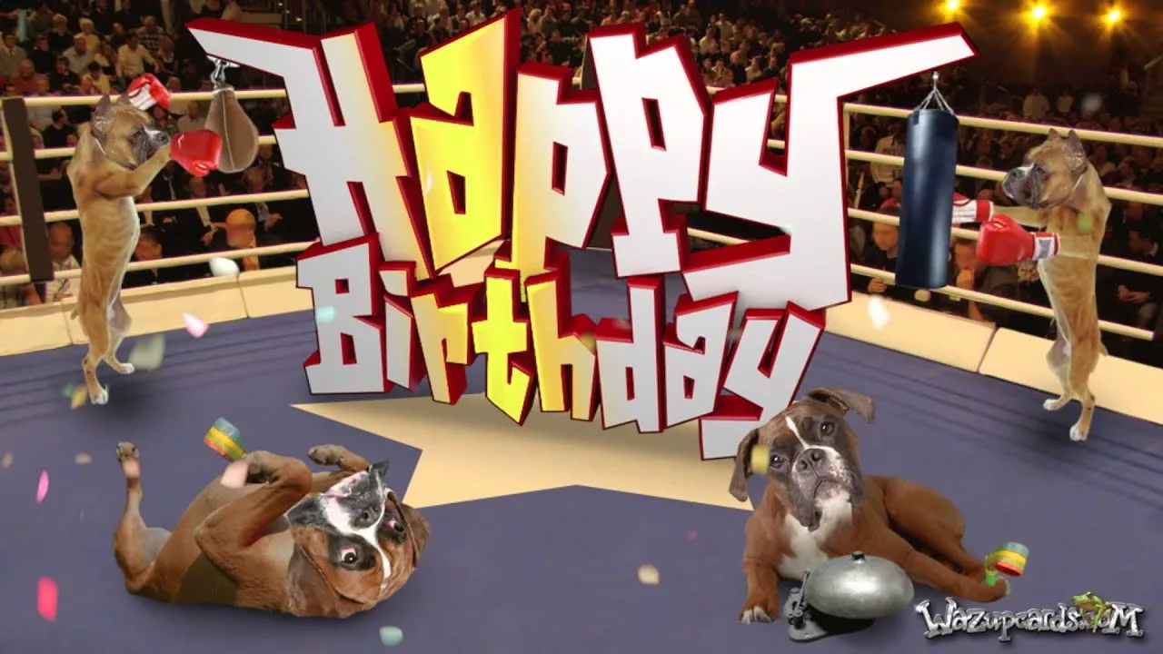 Поздравление боксеру. Открытка с днем рождения боксеру. С днем рождения боксер. Боксера с днем рождения боксеру. Открытки с днём рождения мужчине боксеру.
