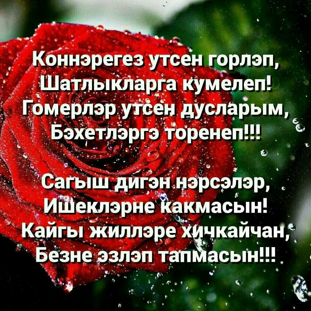 Фото Поздравления с Новым годом на татарском с переводом на русский язык #75