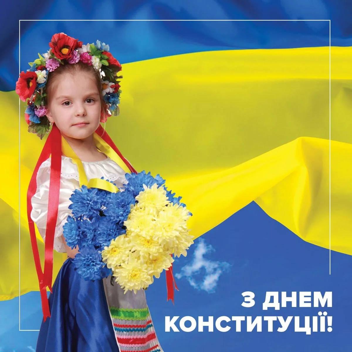 Фото День Конституции Украины #21