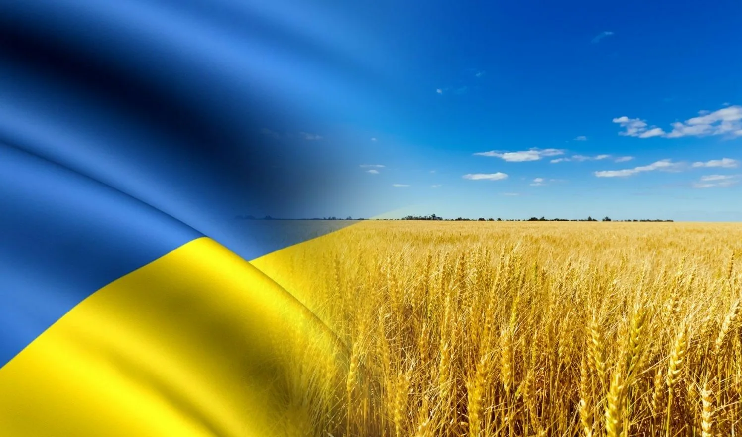 Фото Привітання з Днем незалежності України #79