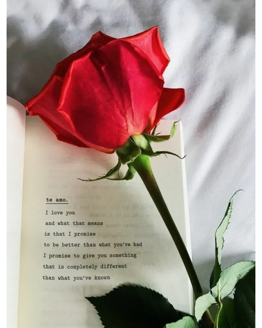 Фото Стихи к подарку розы #59
