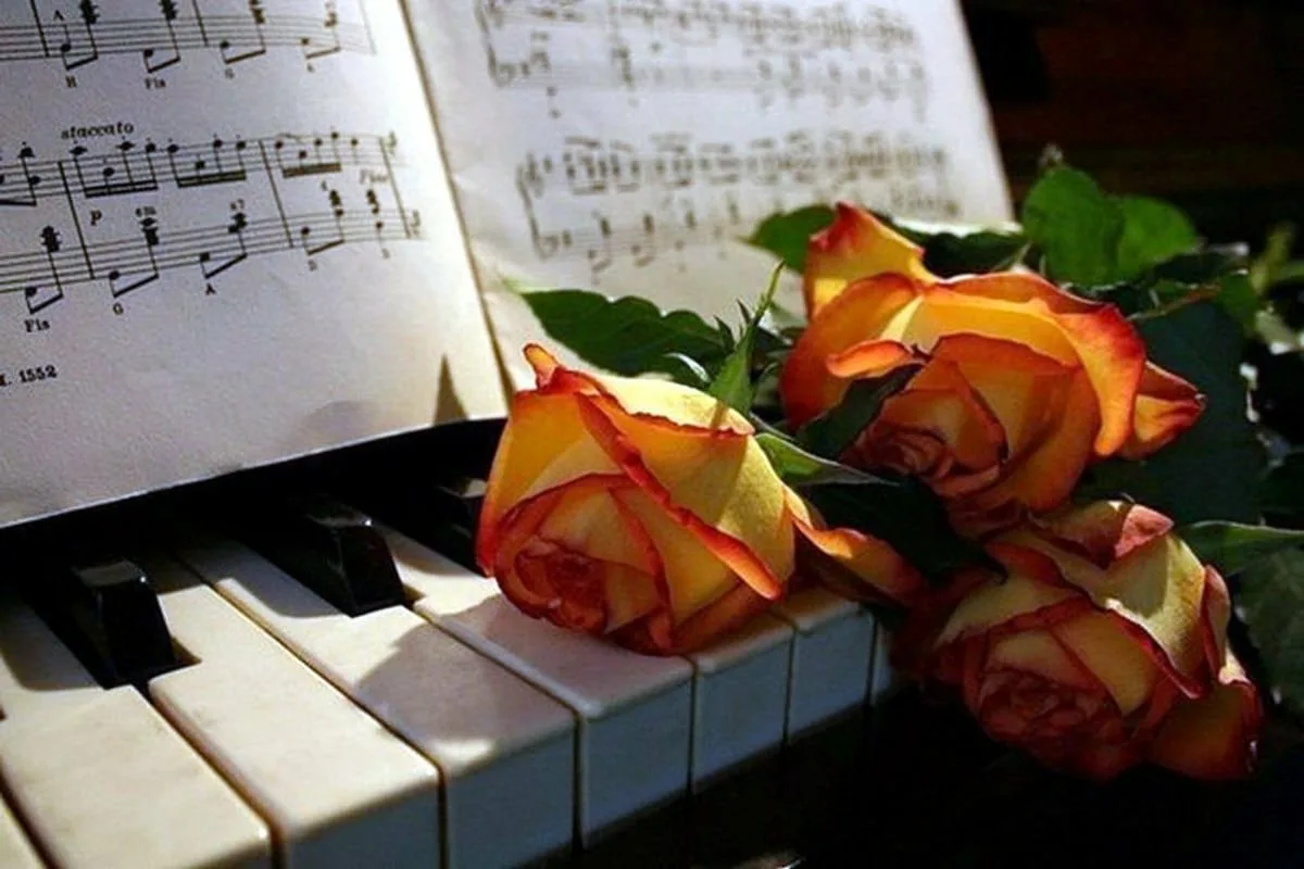 Цветы для музыканта