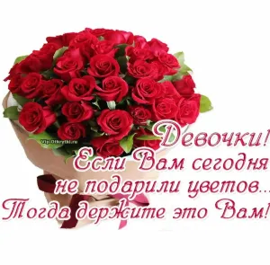 Скачивание изображения #536276