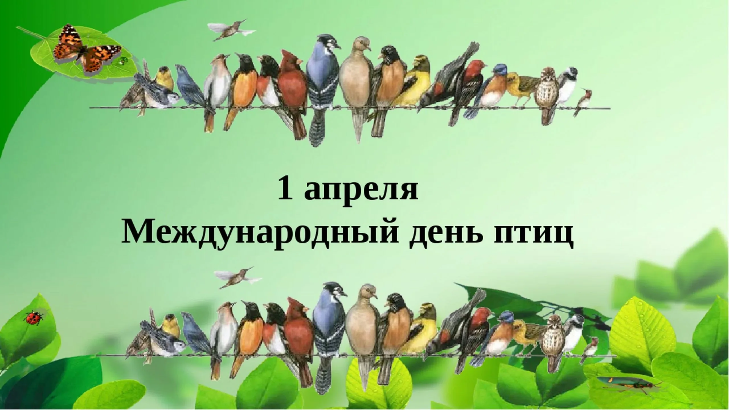 Фото Международный день птиц 2025 #18