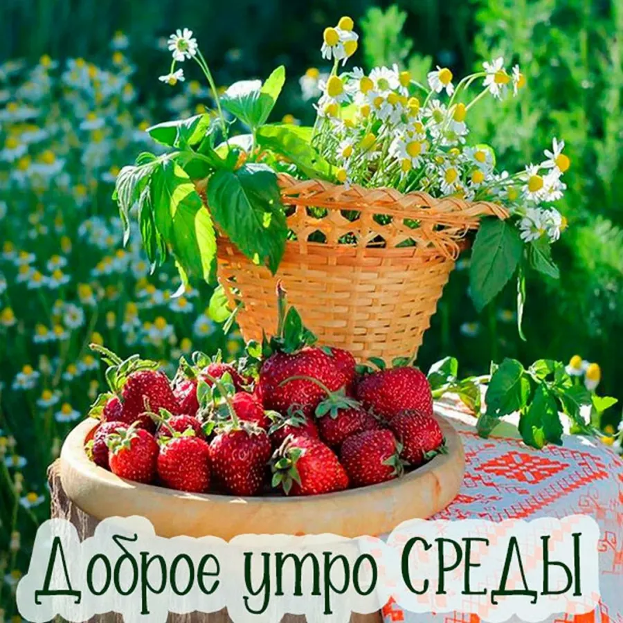 Доброе утро последняя среда года картинки. Доброе летнее утро. Поздравление с летним утром. Открытки с добрым утром летние. Поздравление с добрым летним утром.