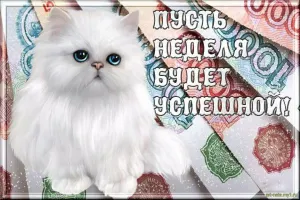 Скачивание изображения #227270