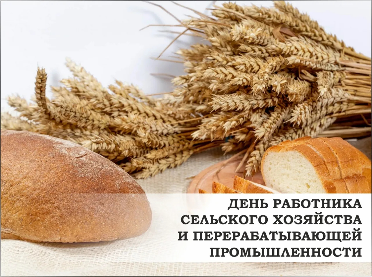 Фото Поздравления с днем работников сельского хозяйства Украины #76
