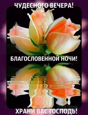 Скачивание изображения #233528