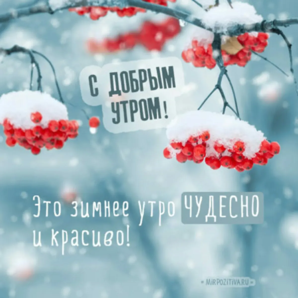 Снежный день картинки с надписями. Доброе Снежное утро. Доброе Снежное утроутро. Доброе нежное утро. Стильные поздравления с добрым утром зимние.