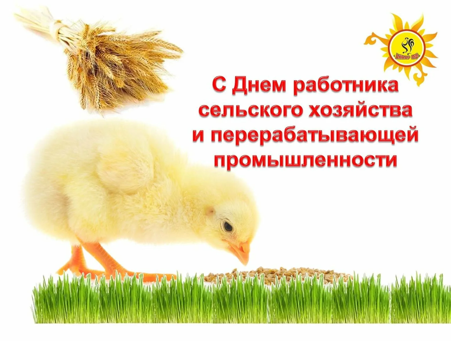 Фото Поздравления с днем работников сельского хозяйства Украины #43