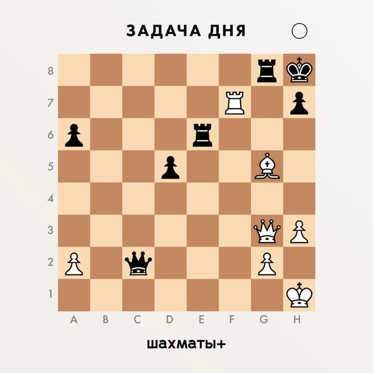 Фото День шахмат 2024, поздравление шахматисту #51