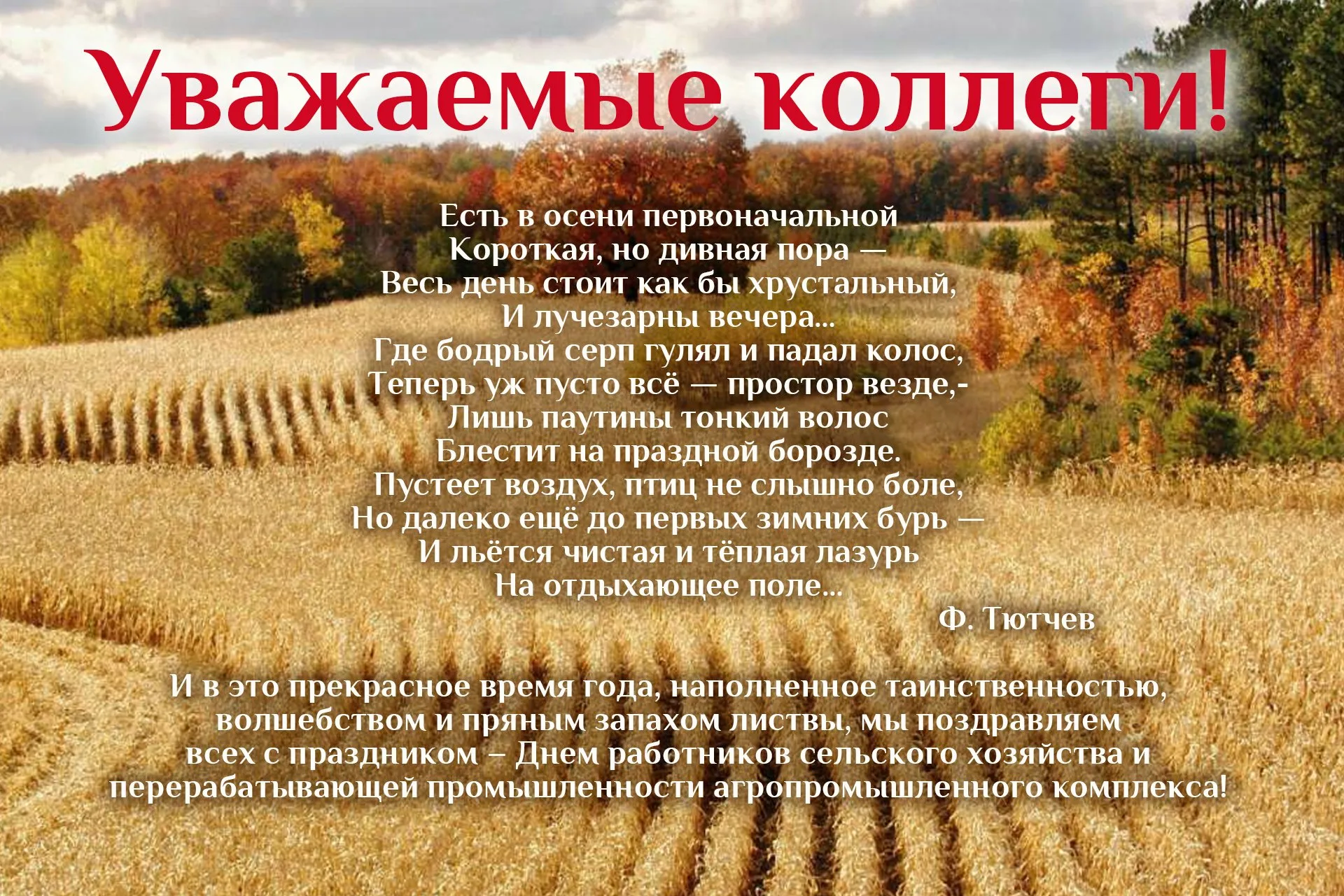 Фото Поздравления с днем работников сельского хозяйства Украины #34