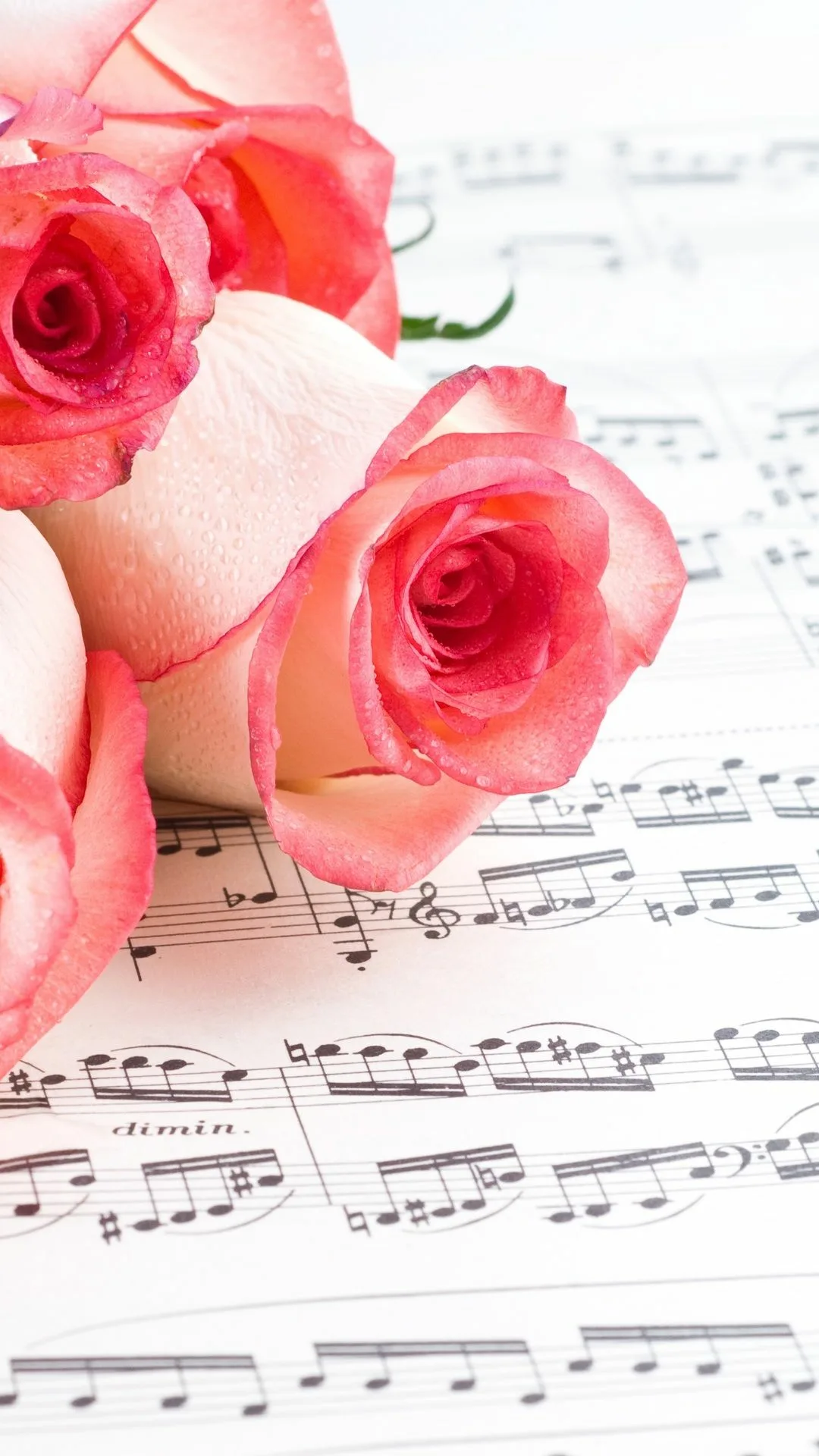 Мелодия для поздравления с днем. Цветы для музыканта. Красивые цветы с нотками. Открытки с нотами и цветами. Музыкальный цветок.