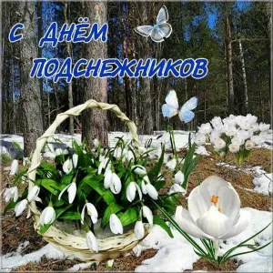 Скачивание изображения #89421
