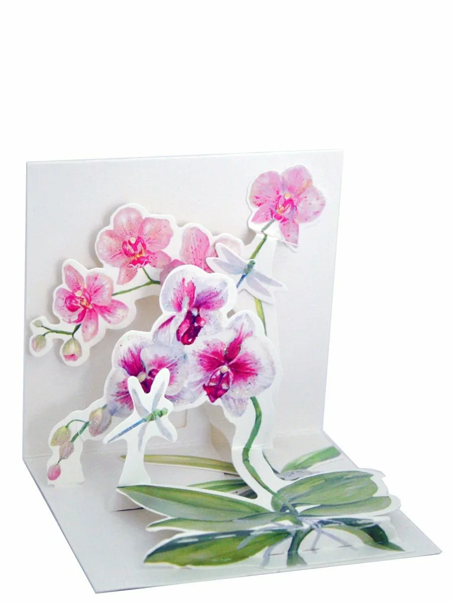 Фото Стихи к подарку орхидея #41