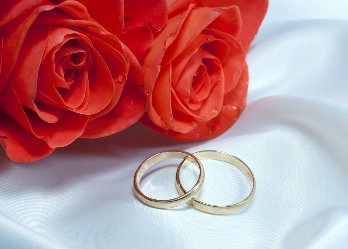 Открытка 35 лет совместной жизни. Кольца на свадьбу. Обручальные кольца открытка. Два свадебных кольца. С годовщиной коралловой свадьбы.