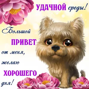 Скачивание изображения #32504