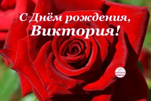 Скачивание изображения #63132