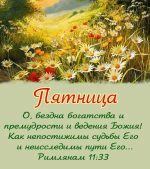 Скачивание изображения #435474