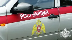 Скачивание изображения #335499