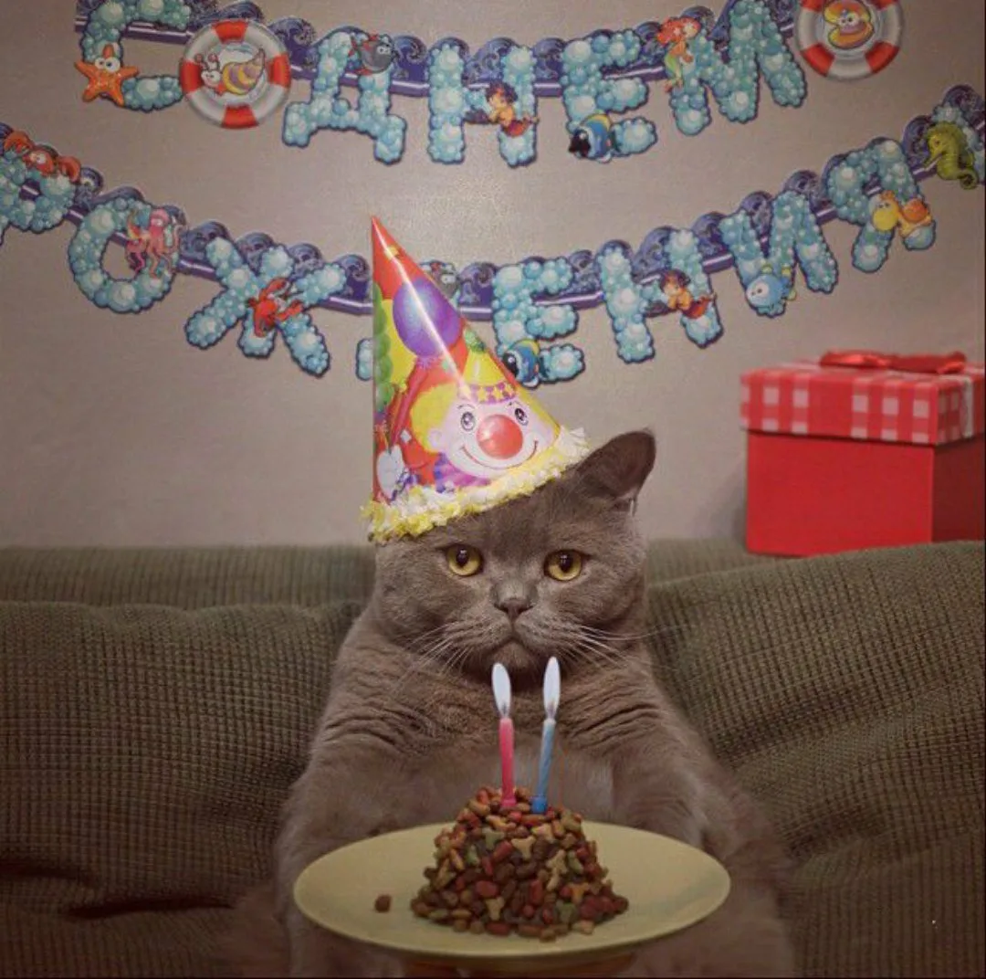 Фото Поздравления с днем рождения коту #91