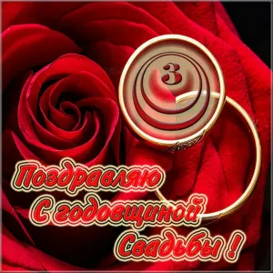 Открытка с днём свадьбы 8 лет скачать