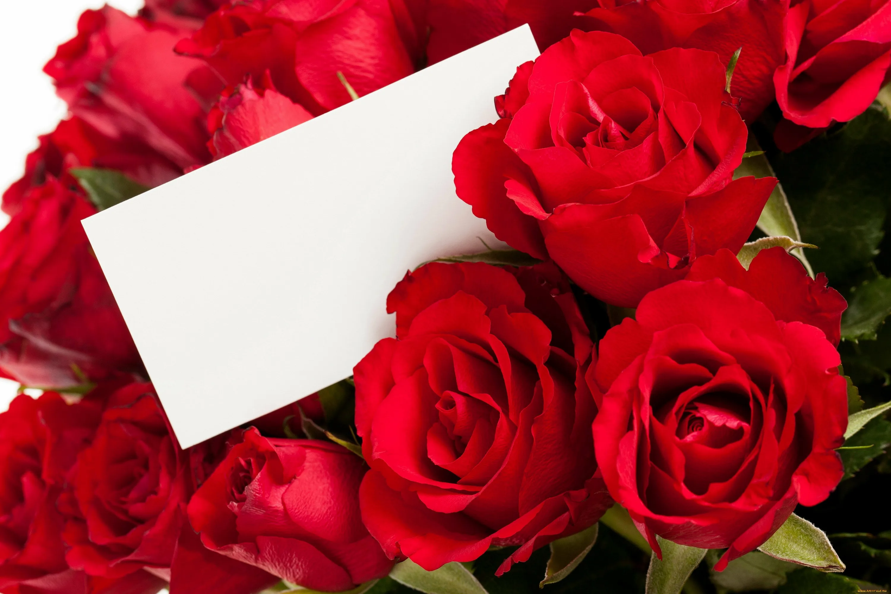 Поздравление с юбилеем цветами. С днем рождения. Открытки с днём рождения розы. С юбилеем. С днём рождения женщине цветы.