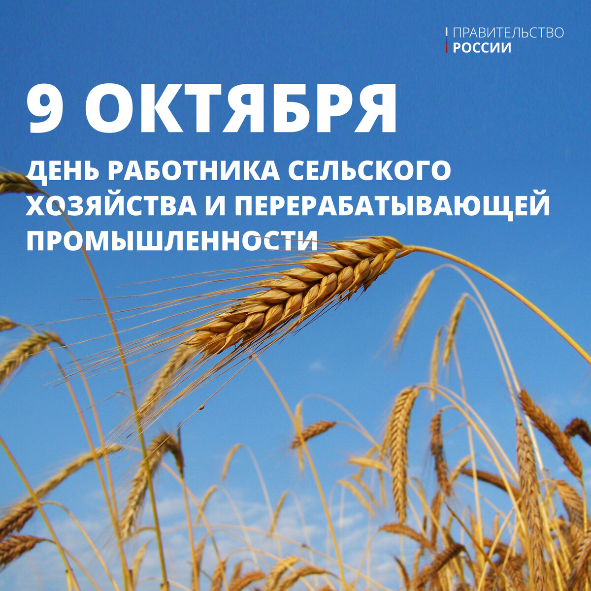 Фото Поздравления с днем работников сельского хозяйства Украины #42