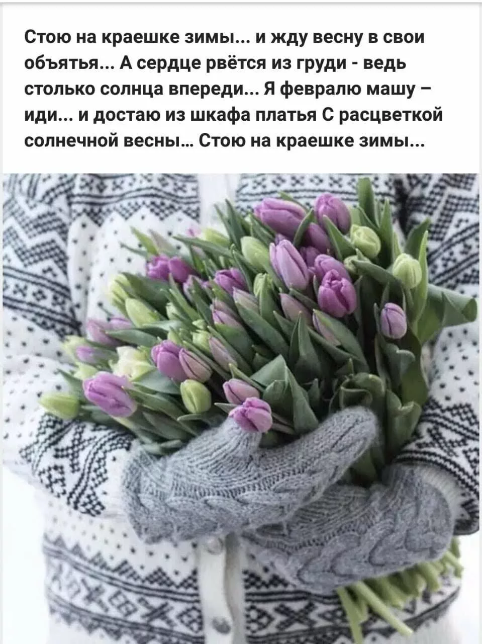 Фото Стихи к подарку тюльпаны #52