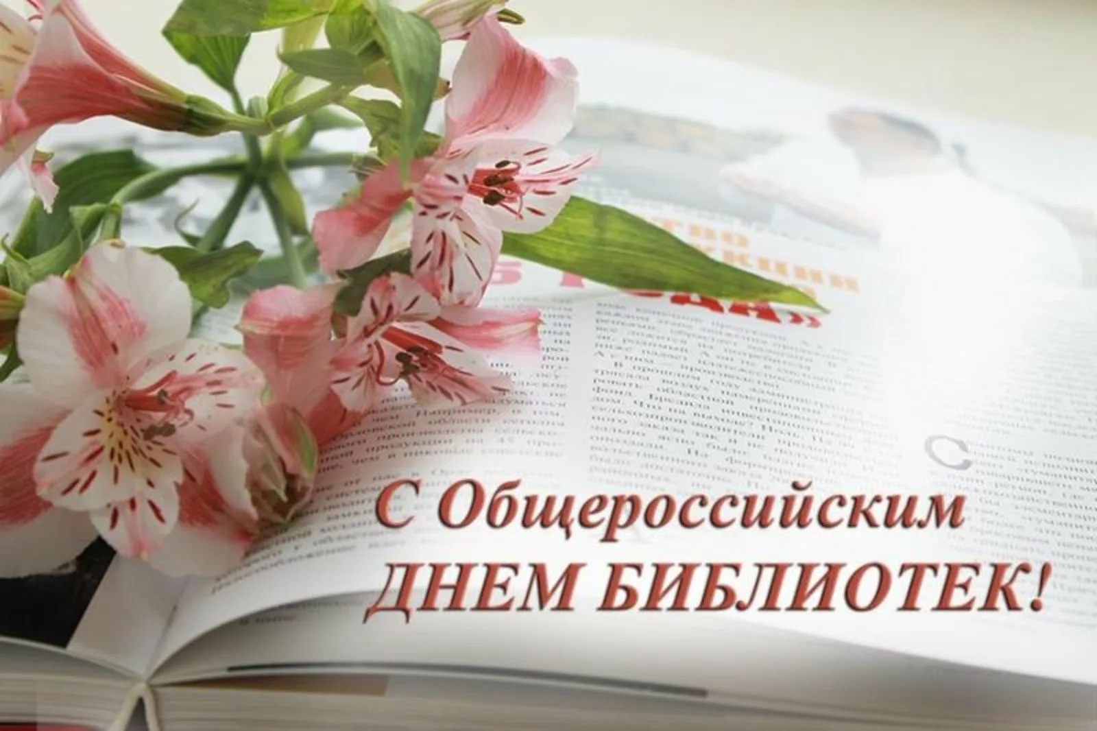 Фото Поздравления в праздник «Всеукраинский день библиотек 2024» #40