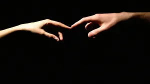 Скачивание изображения #227873