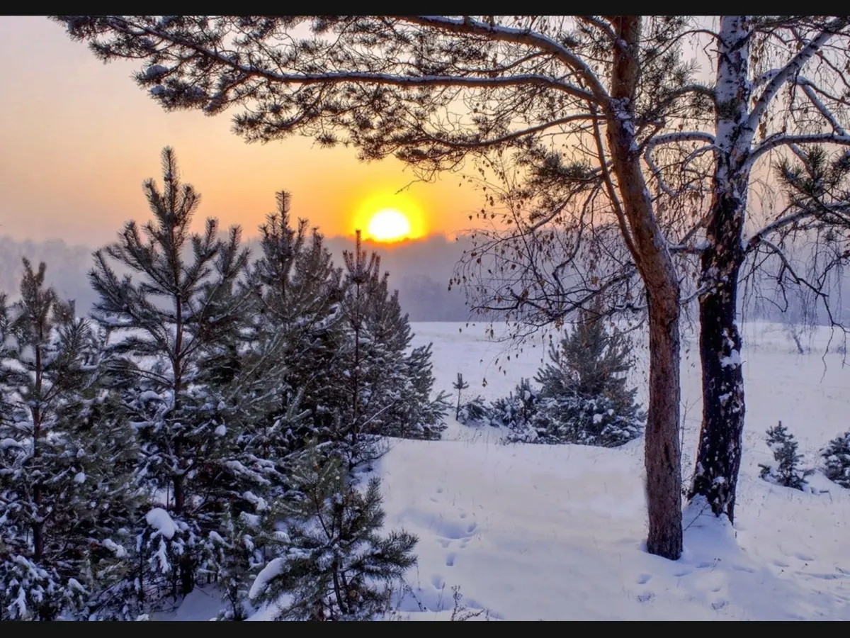 Короткий день картинки