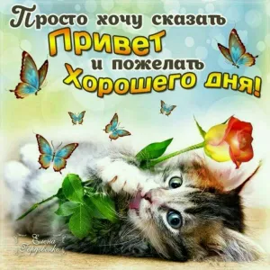 Скачивание изображения #428900
