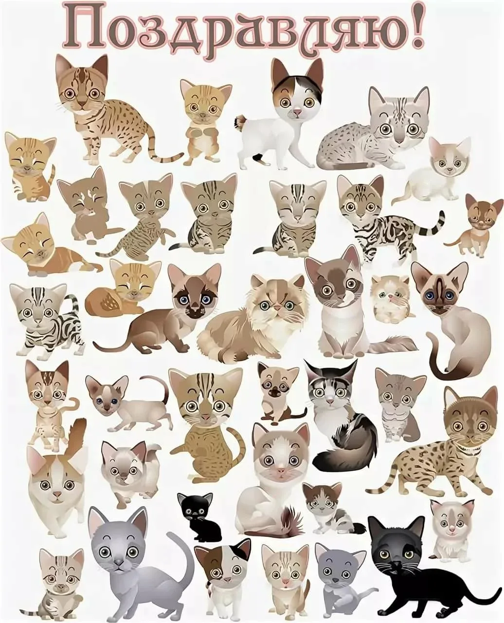 Фото День кошек 2025, поздравления в День кота #65