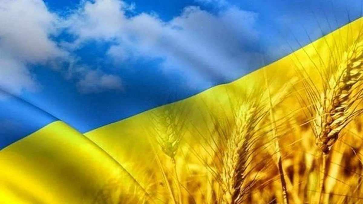 Фото День Конституции Украины #86