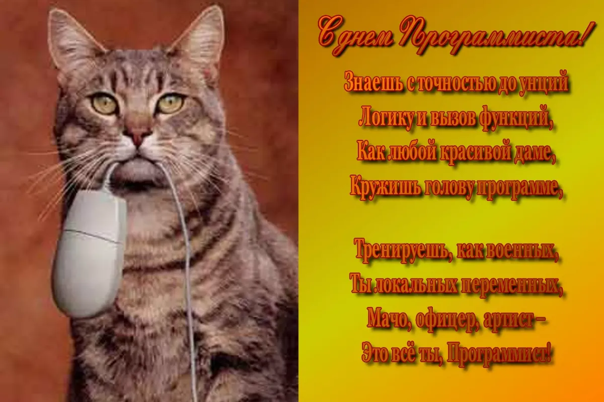 Открытка программисту с днем рождения