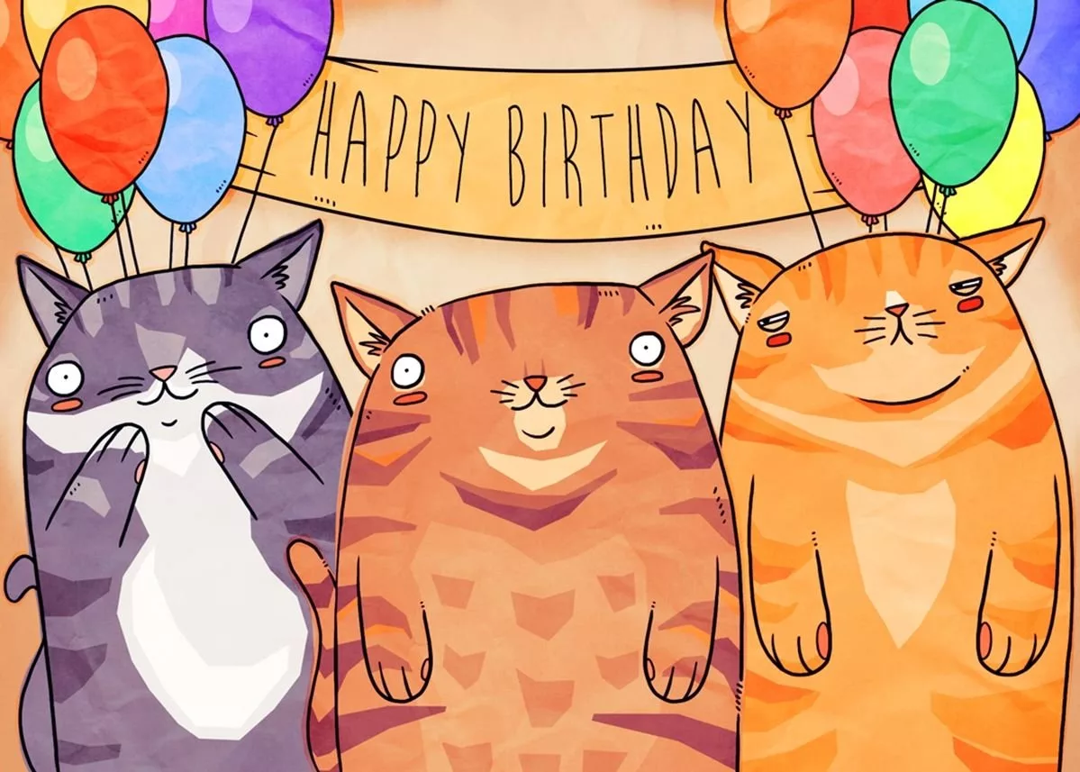 Фото День кошек 2025, поздравления в День кота #6